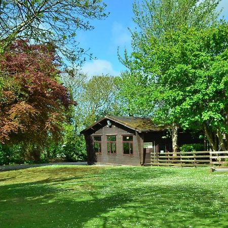 31 Tudor Court, Tolroy Manor Hayle Dış mekan fotoğraf